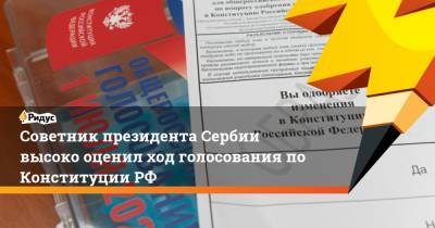 Советник президента Сербии высоко оценил ход голосования по Конституции РФ