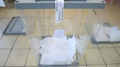 Песков заявил о вероятности проверки избирательной системы некоторыми «активистами»