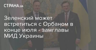 Зеленский может встретиться с Орбаном в конце июля - замглавы МИД Украины