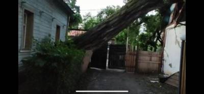 В Рязани два исторических здания повредило упавшим деревом