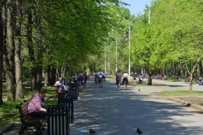 Общественники Екатеринбурга начали опрос по реконструкции парка за Дворцом молодежи