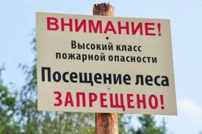 Губернатор Костромской области Сергей Ситников может принять решение о закрытии лесов в пожароопасный период