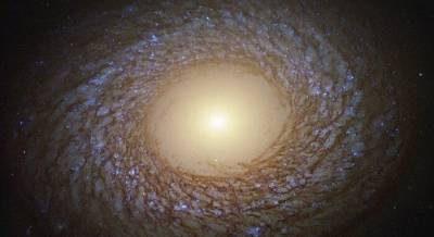 Телескоп Хаббл сделал снимок "пернатой" галактики