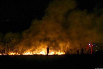 В трех районах Красноярского края ввели ЧС из-за лесных пожаров