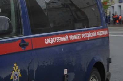 СК проверит сведения СМИ об отравлении двух детей в Подмосковье