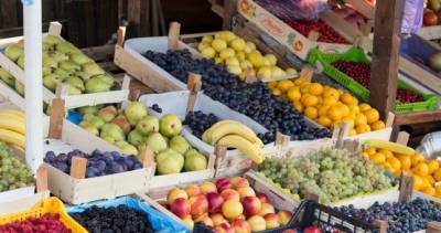 Таджикистан бьет рекорды по экспорту фруктов в Россию, КНР и Евросоюз