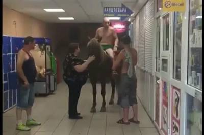 Видео дня: В Киеве почти полностью обнаженный мужчина заехал на лошади в магазин