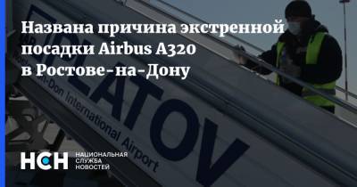 Названа причина экстренной посадки Airbus A320 в Ростове-на-Дону