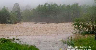 На Прикарпатье нашли тело водителя, автомобиль которого неделю назад упал в реку во время наводнения