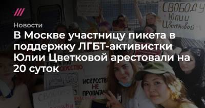 В Москве участницу пикета в поддержку ЛГБТ-активистки Юлии Цветковой арестовали на 20 суток