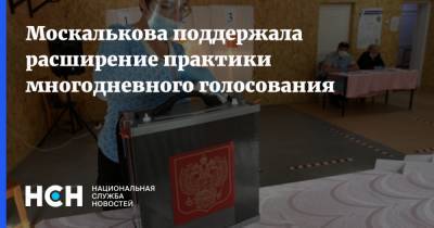 Москалькова поддержала расширение практики многодневного голосования