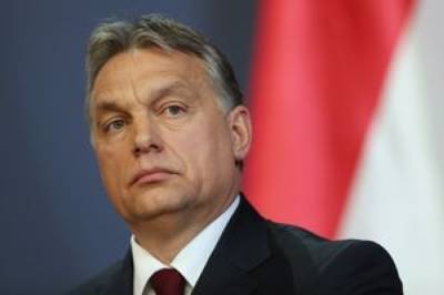 Стало известно, когда Зеленский встретится с премьером Венгрии Орбаном