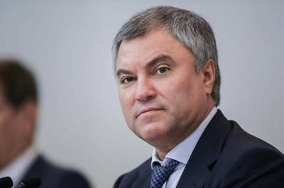 Володин обсудил с губернатором Тамбовской области голосование по поправкам и реализацию нацпроектов