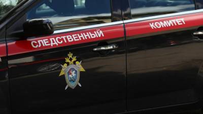 СК проверит обстоятельства отравления двух детей в Красногорске