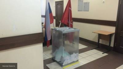 Петербурженке может грозить административное дело за двойное голосование по поправкам