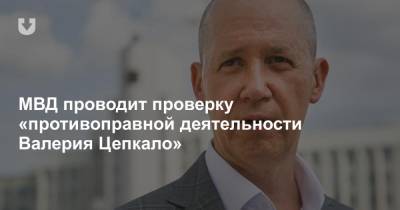 МВД проводит проверку «противоправной деятельности Валерия Цепкало»
