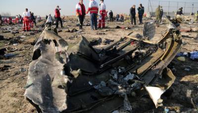 Иран передал "черные ящики" сбитого под Тегераном самолета МАУ Франции