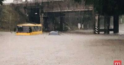 Поваленные деревья, затопленные улицы и остановка транспорта: Мариуполь парализовал ливень