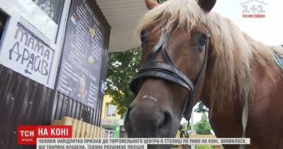 Всадник в магазине в Киеве: мужчина силой отобрал коня у владельца - tsn.ua - Киев