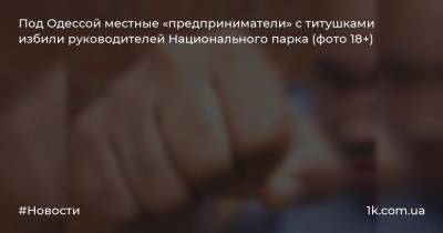 Под Одессой местные «предприниматели» с титушками избили руководителей Национального парка (фото 18+)