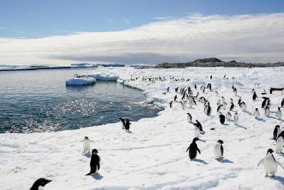 Потепление на Южном полюсе происходит в три раза быстрее, чем в целом по планете
