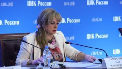 Памфилова считает фейки о голосовании спланированной акцией