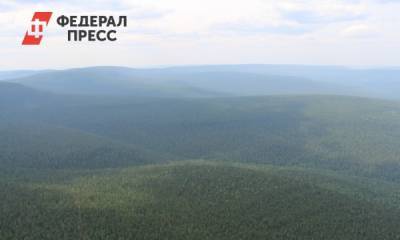 Из-за лесных пожаров в Усть-Кутском районе накажут арендаторов