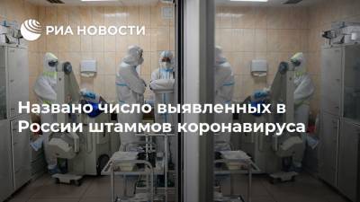 Названо число выявленных в России штаммов коронавируса