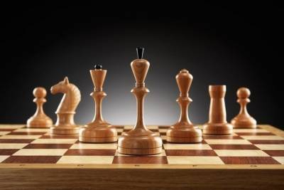 В Бурятии организуют летний шахматный онлайн-лагерь