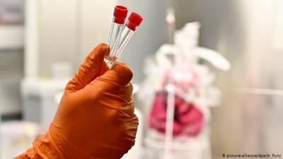 ВОЗ направит экспертов в Китай, которые будут искать источник коронавируса
