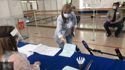 Памфилова рассказала о своем отношении к фейкам на голосовании по поправкам