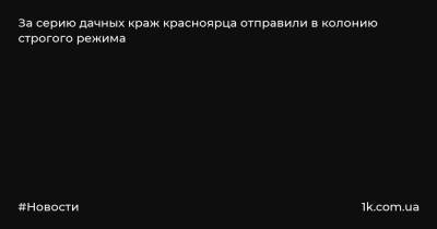 За серию дачных краж красноярца отправили в колонию строгого режима