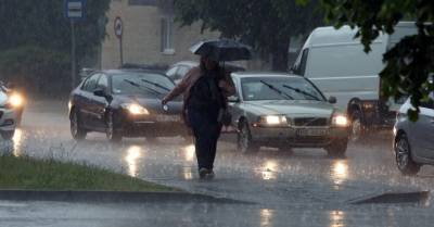 Ливни и штормовой ветер в Риге: повалены деревья, повреждены машины