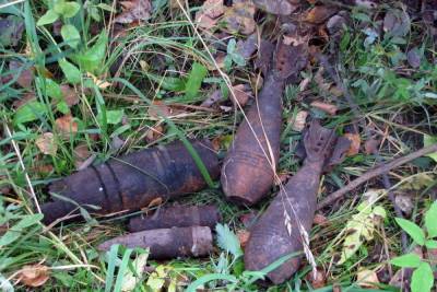 В Смоленске на берегу Днепра нашли ручную гранату