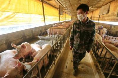 В Китае обнаружили новый вирус, что в будущем может повлечь еще одну пандемию