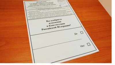 В Избиркоме рассказали о ходе голосования по поправкам в Конституцию в Петербурге