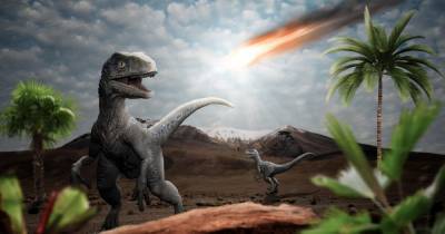 Ученые доказали, что именно падение астероида погубило динозавров