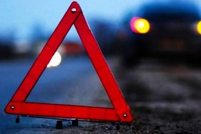 В Рязанской области пьяный водитель сбил четырехлетнюю девочку
