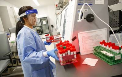 ВОЗ отправит в Китай группу экспертов на поиск источника происхождения коронавируса