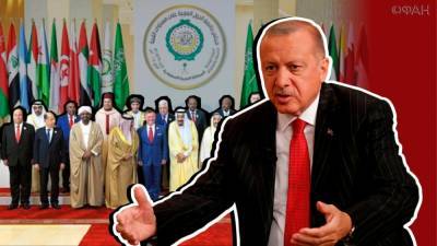 Никакой торговли и совместных проектов: арабы восстали против Эрдогана