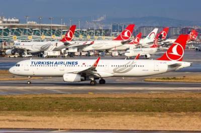 Россия изучает возможность возобновления авиасообщения с Турцией и СНГ
