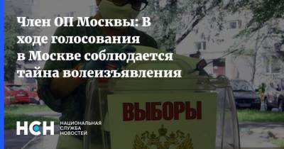 Член ОП Москвы: В ходе голосования в Москве соблюдается тайна волеизъявления