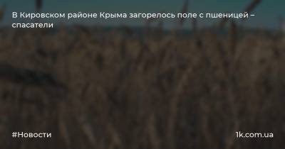 В Кировском районе Крыма загорелось поле с пшеницей – спасатели