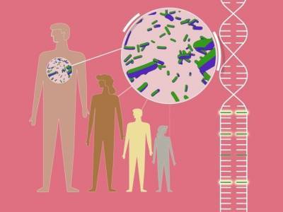 Генетическая аутоиммунная болезнь помогает организму противостоять чуме