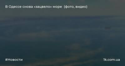 В Одессе снова «зацвело» море (фото, видео)