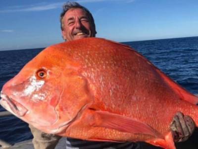 Рыбак отдаст огромную рыбу ученым для исследований