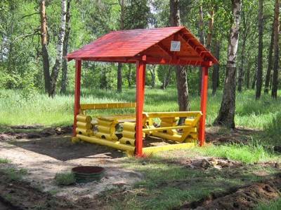 Более 2,5 тысяч благоустроенных мест для отдыха появилось в нижегородских лесах