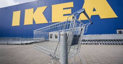 IKEA начала аудит после обвинений в изготовлении мебели из вырубленной в Карпатах древесины