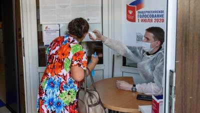 Почти 2 млн петербуржцев проголосовали по поправкам к Конституции