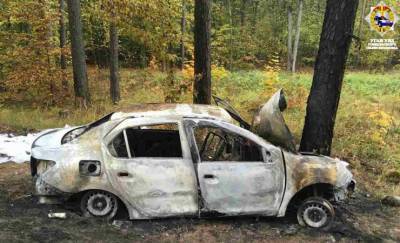Врезался в дерево и загорелся. Суд наказал пьяного водителя, из-за которого в аварии под Гомелем едва не погиб подросток